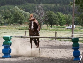 Entrainement autonome